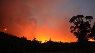 Bencana Kebakaran Hutan yang Bikin Australia Gelap