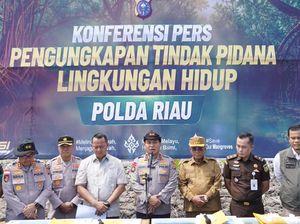 Kapolda Riau Geram Mangrove Dibabat: Ini Benteng Masyarakat Pesisir