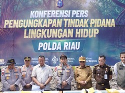 Kapolda Riau Geram Mangrove Dibabat: Ini Benteng Masyarakat Pesisir