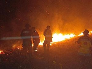 Karhutla Beruntun di Pantai Lunci Sukamara, 30 Hektare Lahan Terbakar