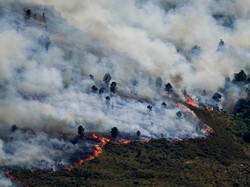 Kebakaran Hutan di Eropa Picu Evakuasi Puluhan Ribu Warga