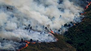Kebakaran Hutan di Spanyol Kian Tak Terkendali