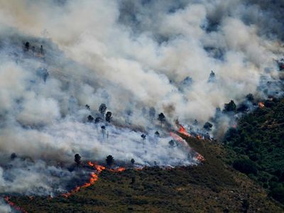Kebakaran Hutan di Spanyol Kian Tak Terkendali