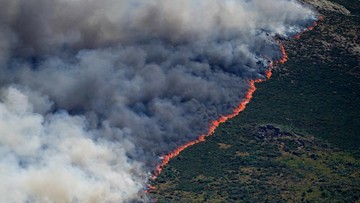Kebakaran Hutan Mengganas, Prancis-Spanyol Evakuasi 160.000 Orang