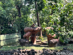 Geger! Korupsi Pakan Satwa KBS Rp 10,2 M, Publik Murka