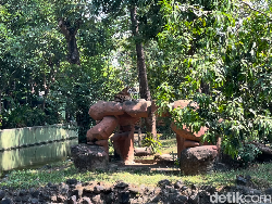 Geger! Korupsi Pakan Satwa KBS Rp 10,2 M, Publik Murka