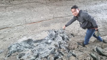 Jasad Pria Bertato Ditemukan Terbenam dalam Lumpur di Brebes