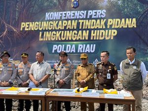 Polda Riau Ungkap Kasus Perusakan 118 Ha Mangrove di Rohil, 2 Pelaku Dijerat