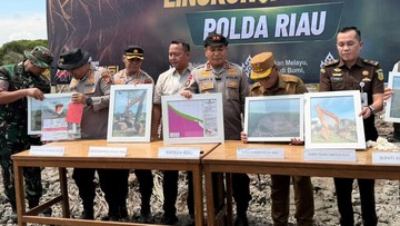 BKSDA Apreasiasi Langkah Tegas Polda Riau, Singgung Peran Vital Mangrove