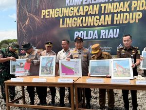BKSDA Apreasiasi Langkah Tegas Polda Riau, Singgung Peran Vital Mangrove