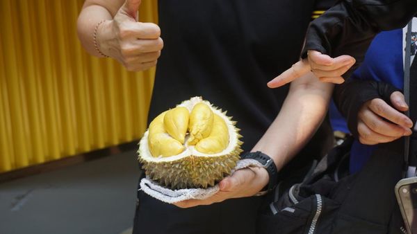 Berburu Musang King, Si Raja Durian dari Negeri Jiran