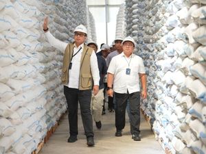 BULOG Berhasil Serap 3,5 Juta Ton Setara Beras Petani
