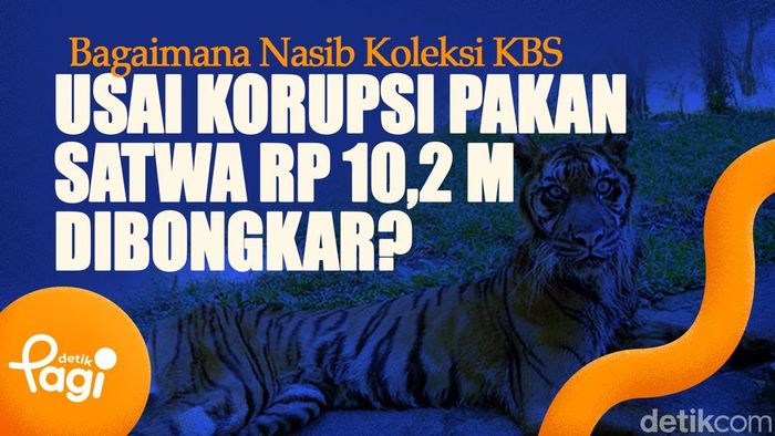 Video: Bagaimana Nasib Koleksi KBS Usai Korupsi Pakan Satwa Rp 10,2 M Dibongkar? 