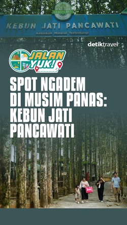  Video: JALAN YUK! Spot Ngadem di Musim Panas: Kebun Jati Pancawati