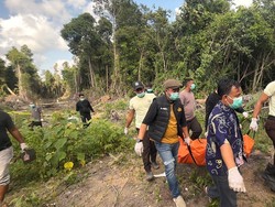 Heboh Mayat Perempuan Ditemukan di Kebun Sawit, Ternyata Dibunuh Mantan Pacar
