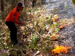 3 Hektare Lahan di Trenggalek Terbakar