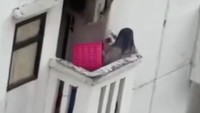 Video Viral Korban KDRT Minta Tolong Sambil Bertameng Keranjang di Bekasi