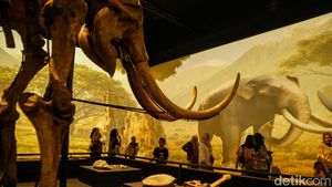 Libur Akhir Pekan, Yuk Jelajahi Museum Nasional