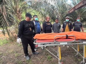 Pertemuan dengan Mantan Pacar Berakhir Tragis di Kebun Sawit