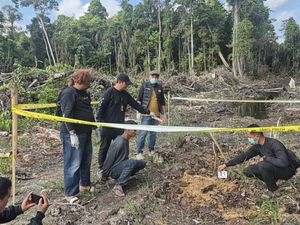 Sakit Hati Diputus, Pria Ketapang Bunuh Kekasih di Kebun Sawit