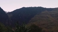 Kebakaran di Perbukitan Bromo Mulai Padam, Tinggal Tersisa 1 Titik Api