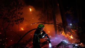Kekeringan Ekstrem Picu Kebakaran Hutan di Gironde