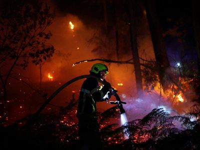 Kekeringan Ekstrem Picu Kebakaran Hutan di Gironde