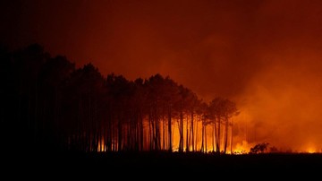 Kebakaran Hutan di Italia, Ratusan Orang Dievakuasi Lewat Jalur Laut