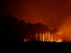 Kebakaran Hutan di Italia, Ratusan Orang Dievakuasi Lewat Jalur Laut