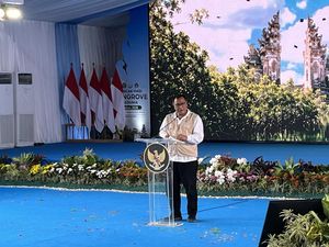 Jumhur Mengaku Didatangi Investor Raksasa untuk Tanam Ribuan Mangrove