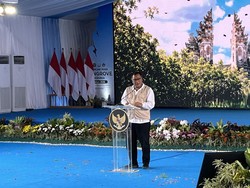 Jumhur Mengaku Didatangi Investor Raksasa untuk Tanam Ribuan Mangrove