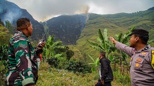 Petugas Sisir Titik Api di Kawasan Hutan Bromo