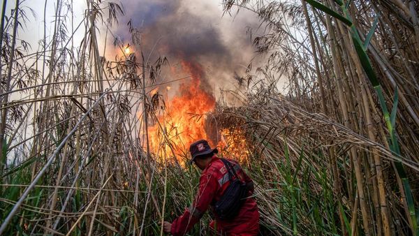 Manggala Agni dan Black Hawk Padamkan Karhutla di Ogan Ilir
