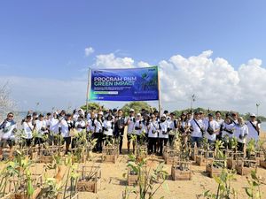 PNM Gandeng Pemda-Komunitas Tanam 2.000 Mangrove di 18 Kawasan Pesisir