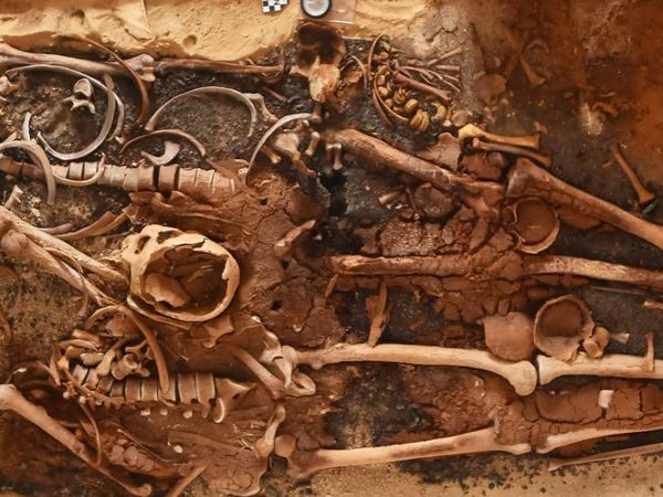 Potret 18 Makam Era Mesir Kuno yang Baru Ditemukan, Ada Kerangka & Lidah Emas