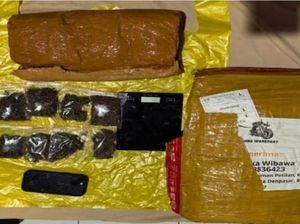 Polda Lampung Bongkar Jaringan Narkoba Medan-Bali, Ganja 6 Kg Disita