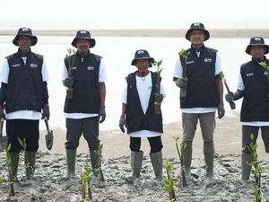24 Ribu Mangrove Ditanam di Karawang, Jadi Benteng Alami Lawan Abrasi