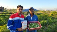 Desa Energi Berdikari, Ketika Energi Terbarukan Beri Manfaat ke Warga