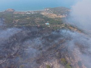Video: Rekaman Udara Parahnya Kebakaran Hutan di Italia