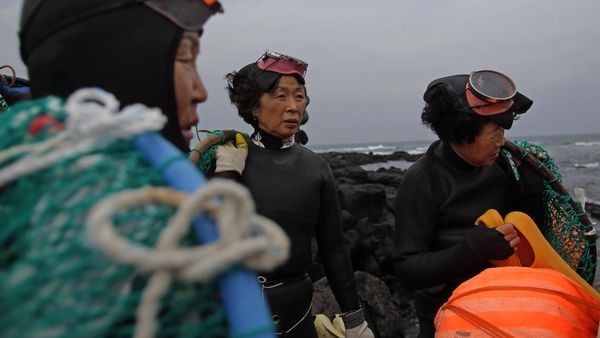 Haenyeo, Penyelam Perempuan Tangguh Penjaga Tradisi Jeju
