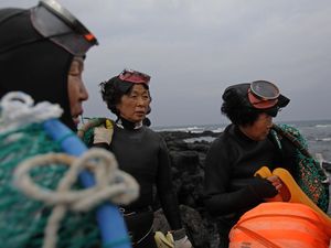 Haenyeo, Penyelam Perempuan Tangguh Penjaga Tradisi Jeju
