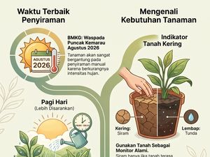 Tanaman Mudah Kering saat Cuaca Panas, Kapan Waktu Terbaik Menyiram?