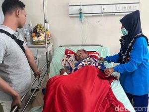 Relawan Mojokerto Digigit Kobra Saat Nekat Tangkap Ular Tanpa Pelindung