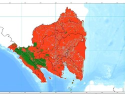 BPBD Sebut Semua Daerah di Lampung Masuk Zona Merah Karhutla
