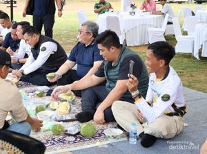 Festival Durian Bintan, Pesta Durian Daun Hingga Trekking Gunung Bintan