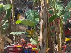 Ditolak Warga, Dinas ESDM Jabar Bakal Cek Pengeboran Batu Kapur Cipatat