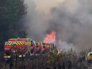 Gelombang Panas Perparah Kebakaran Hutan di Prancis dan Spanyol