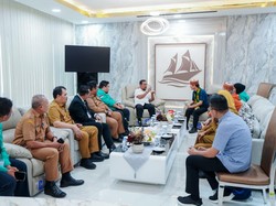 Gubernur Sulsel Ajak Asesor UNESCO Tingkatkan Daya Tarik Geopark Maros-Pangkep