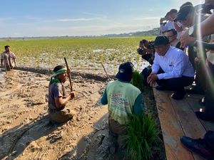 Rp 231 Miliar Tersalurkan untuk Pemulihan Pertanian Pascabencana di Aceh