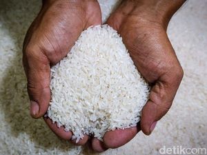 Produsen Buru-buru Tarik Stok, Bapanas Lanjut Usut Beras Fortifikasi Bermasalah